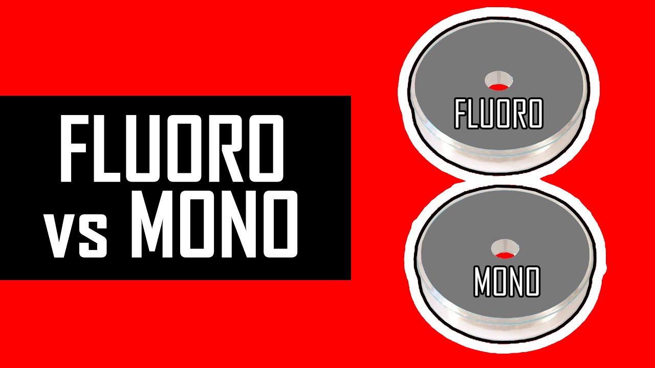 FLUOROCARBON vs MONO tests. What are the differences?