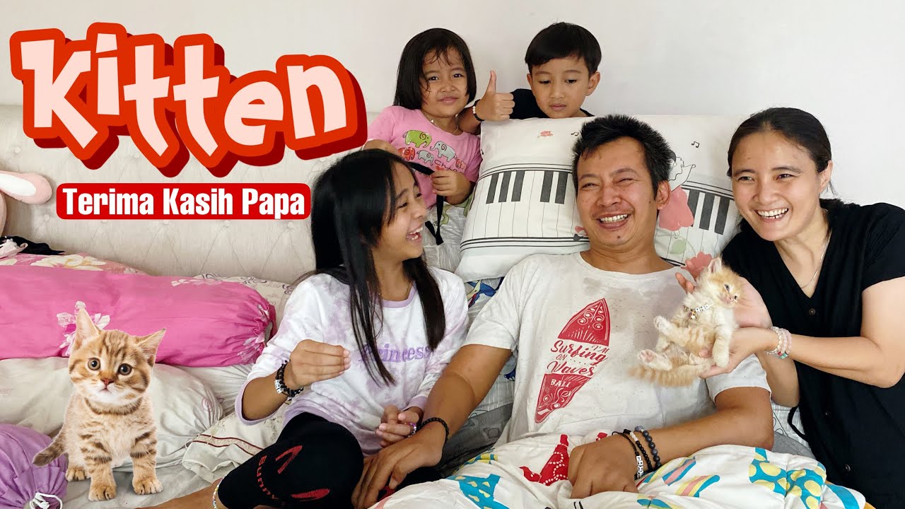 Anak Kucingnya Lucu Banget !!! Terima Kasih Papa 😍