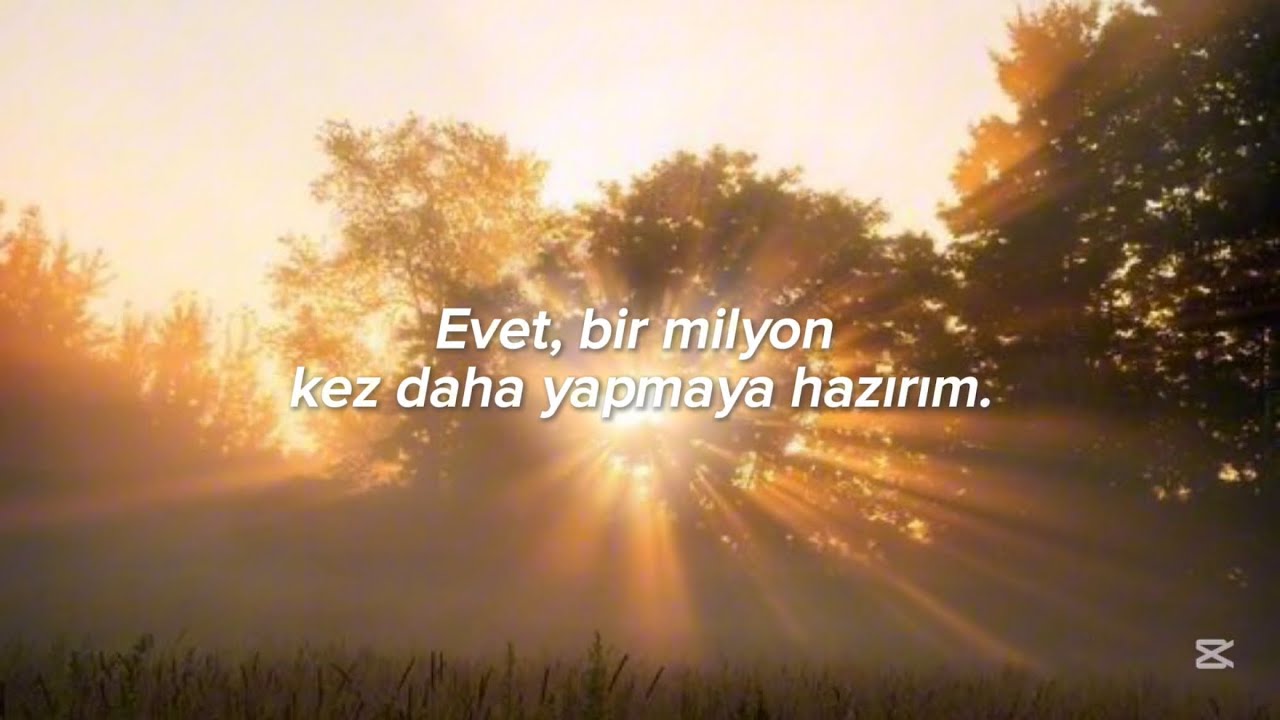 Lana Del Rey - Backfire || Türkçe Çeviri.