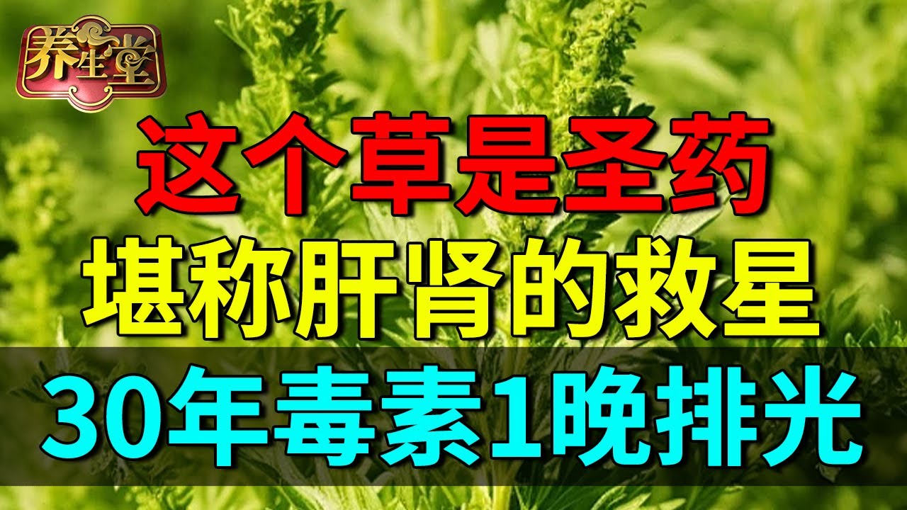 2025最新｜这个草是圣药，堪称肝肾的救星，这样搭配比人参有效30倍，阳气足了再也不怕失眠【养生堂】
