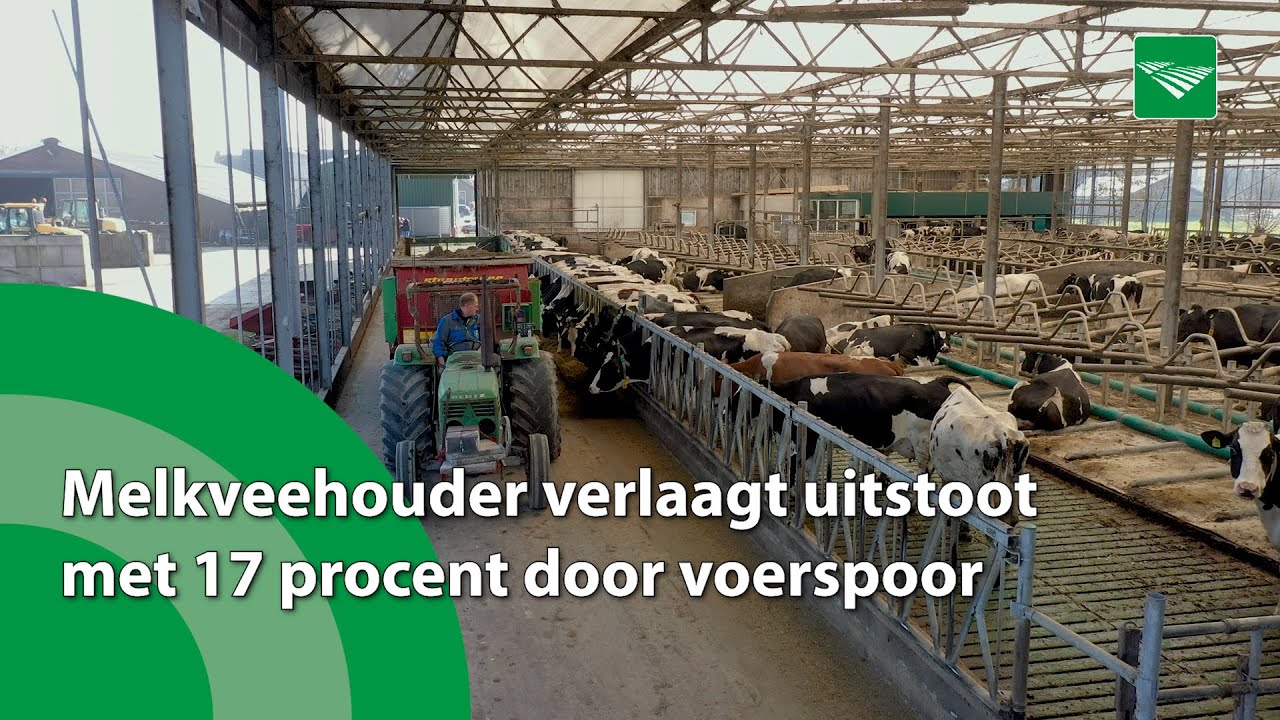 Melkveehouder verlaagt uitstoot met 17 procent door voerspoor