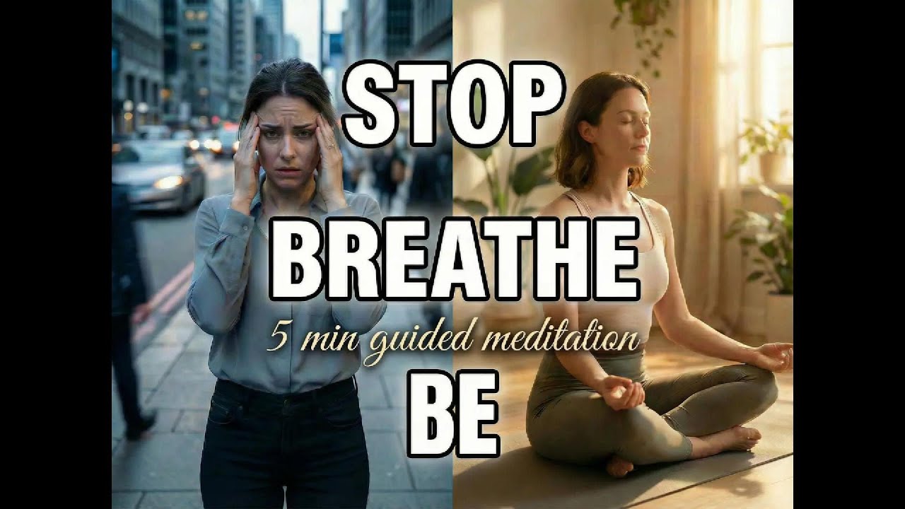 STOP. Breathe. Be. A 5 Minute Powerful Presence Reset