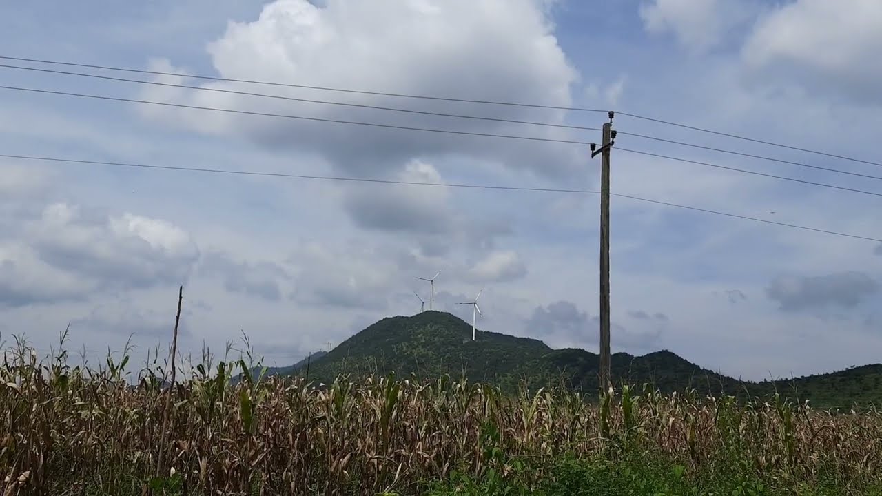 Beautiful Greens at Honnali, Karnataka, India | Travel vlog 78
