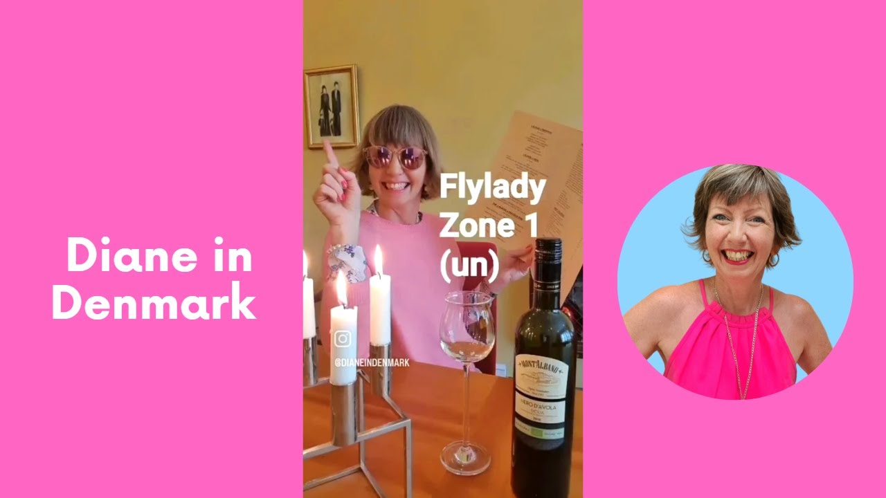 #Flylady