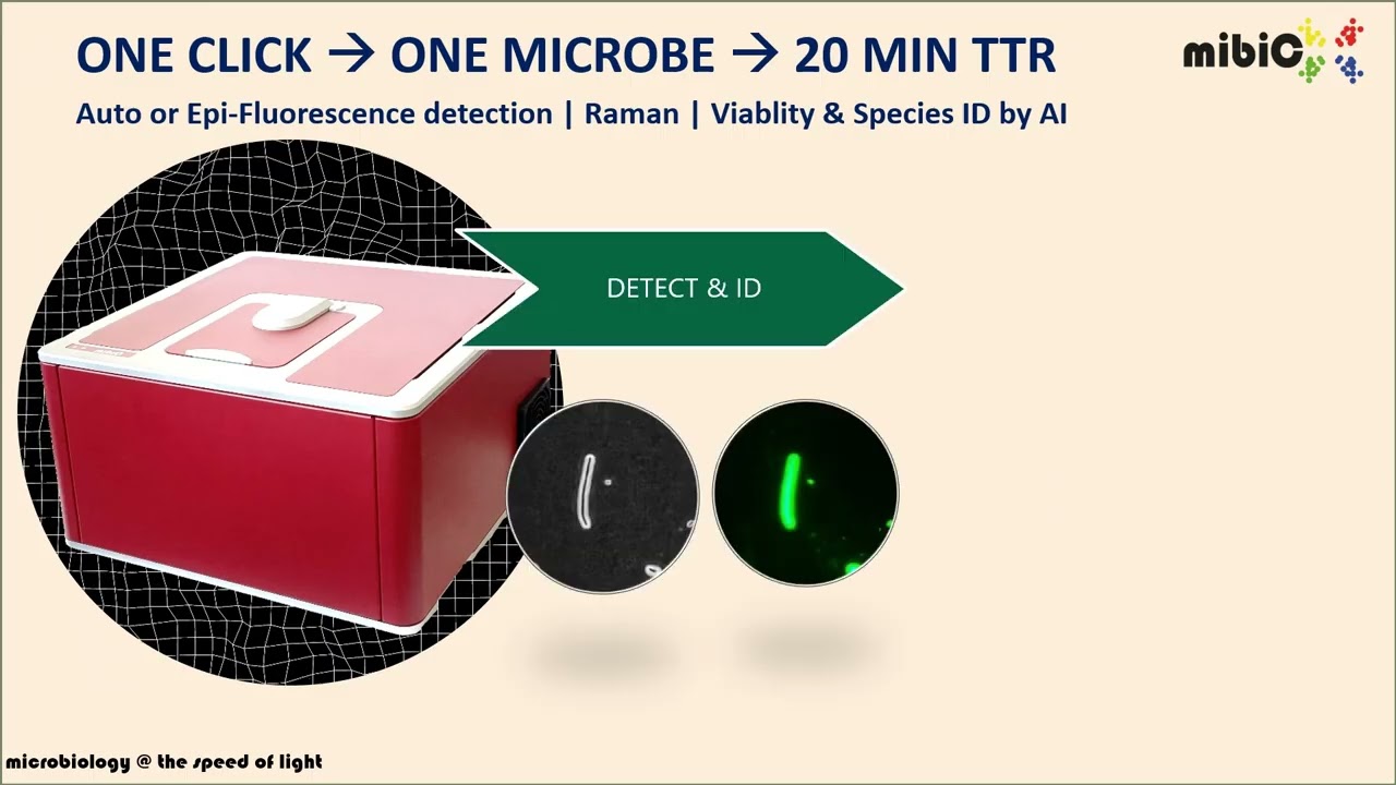 Microbiology in 20 minutes using fluorescence detection and AI interpreted Raman spectroscopy.