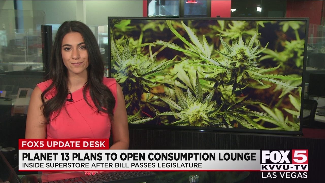 Planet 13 plans pot lounge pending bill signing