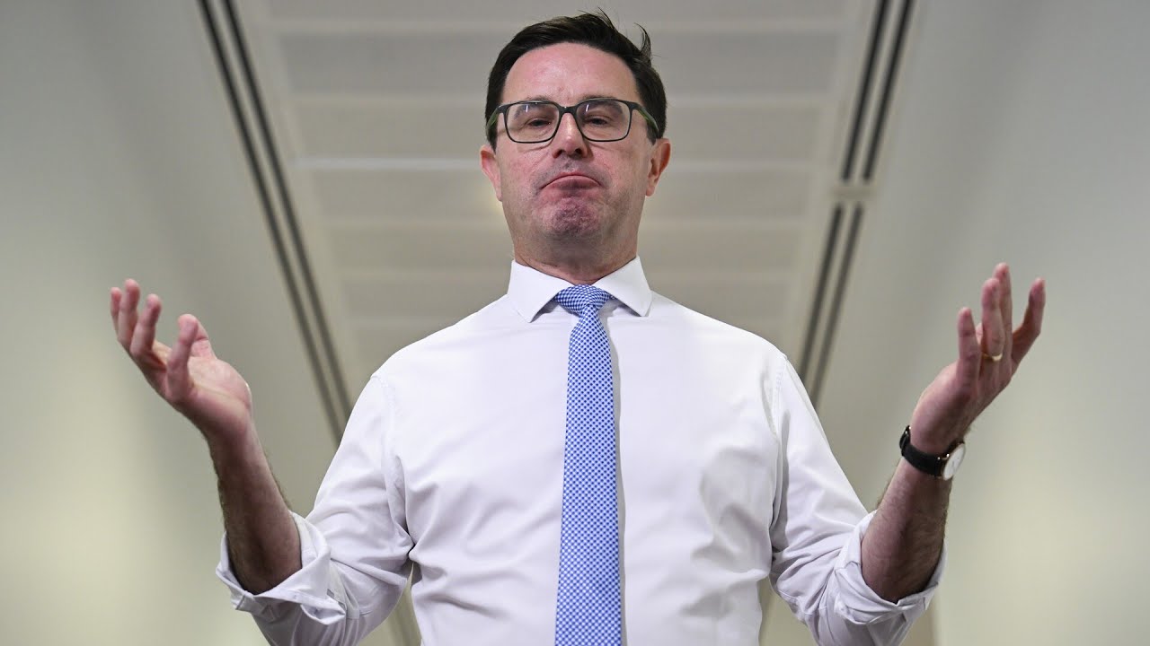 ‘We did nothing wrong’: Littleproud defends Coalition split over hate speech laws
