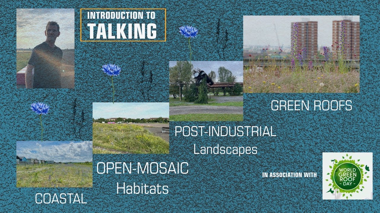 TALKING COASTAL/OPEN-MOSIAC HABITATS POST INDUSTRIAL LANDSCAPES AND GREEN ROOFS - an introduction