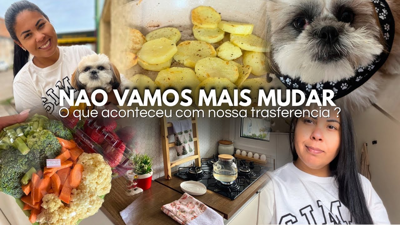 NÃO VAMOS MAIS MUDAR?CONTEI O QUE ACONTECEU  COM NOSSA TRANSFERÊNCIA NO VLOG DE HOJE 🍃