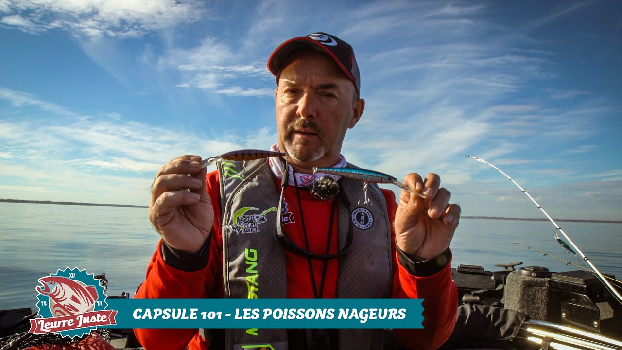 Capsule 101 - Les poissons nageurs