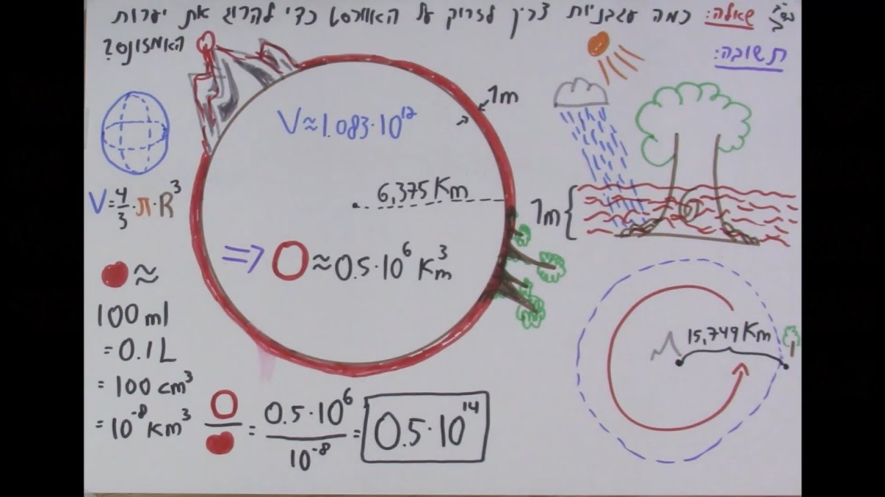 דף אחד על עגבניות ויערות