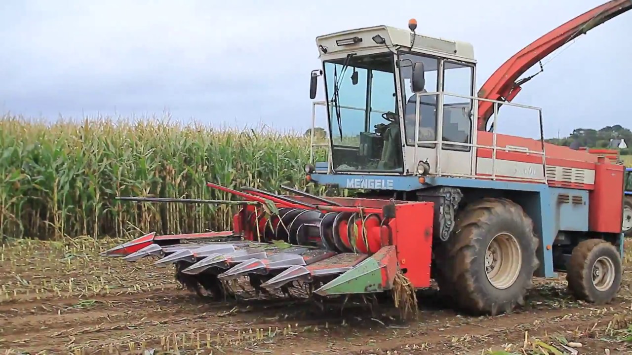 ENSILAGE MENGELE SF 6000 VINTAGE SILAGE FENDT NEW HOLLAND