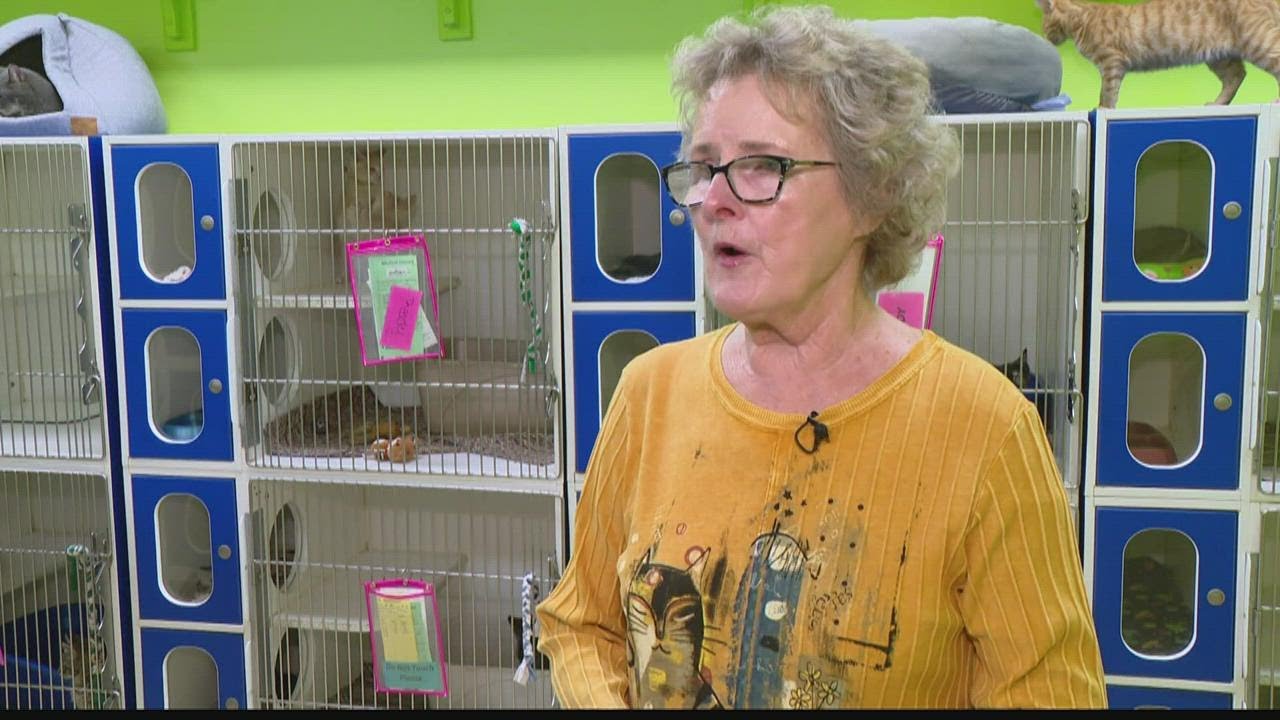 To the Rescue: Rosie's Southside Animal Shelter
