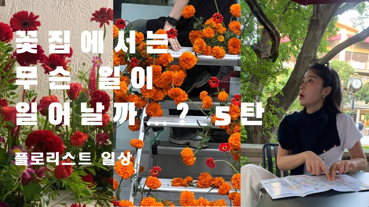 플로리스트브이로그vlog 부케제작하고 클래스하고 9월 잘가고 10월 오고있는 베흐플라워