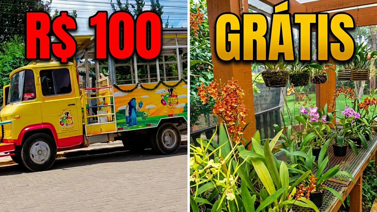 Monte Verde DE GRAÇA: O que o trenzinho de R$ 50 não te conta