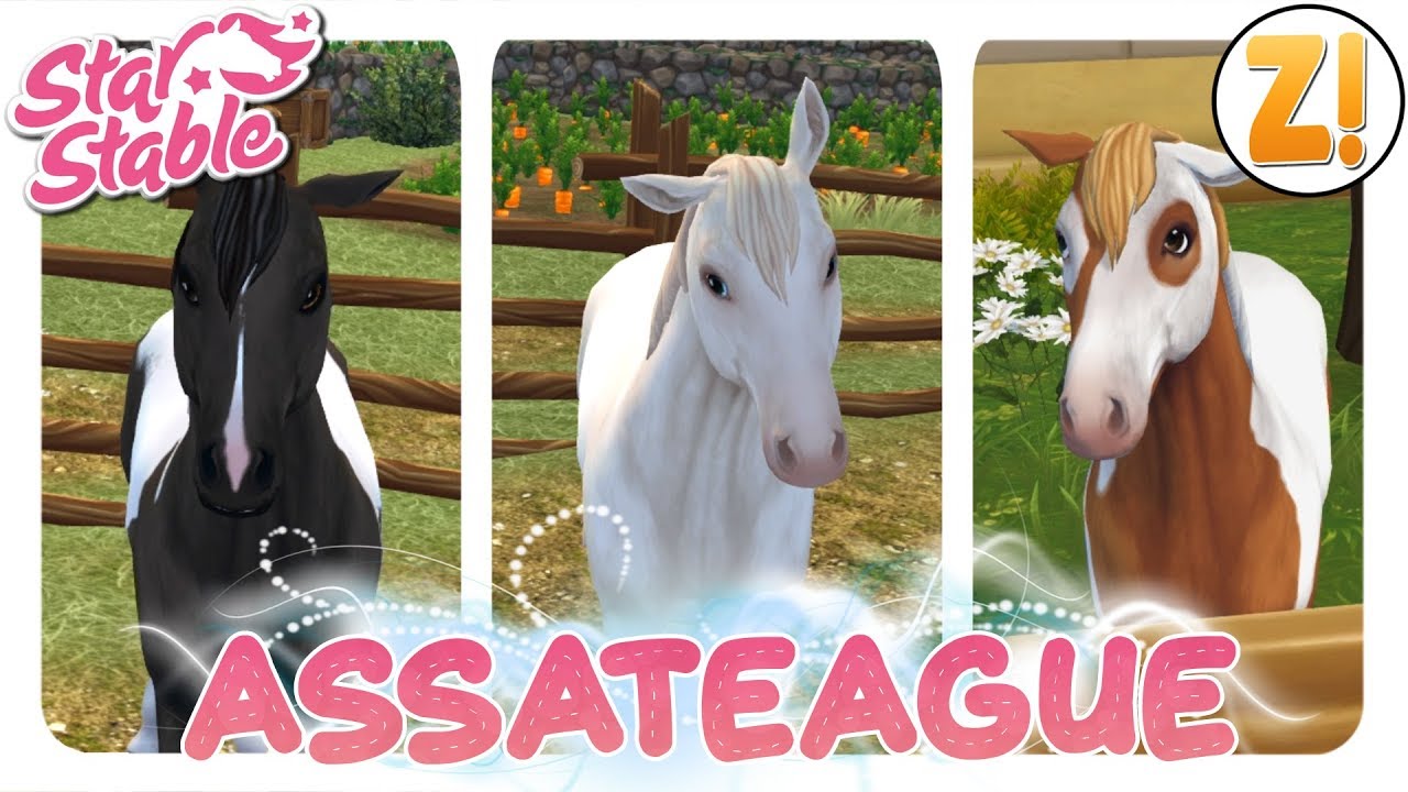 Star Stable [SSO]: Das Assateague Pony Remake [PFERDEKAUF] [DEUTSCH]