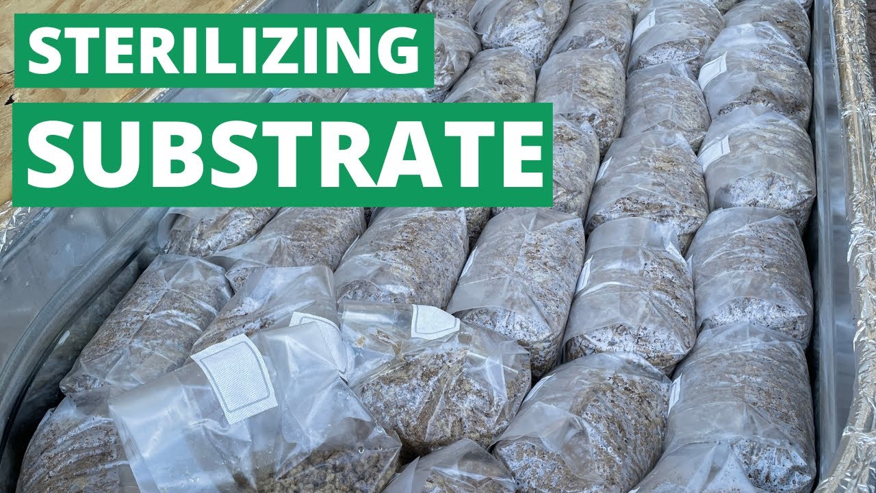 How We Sterilize 2 TONS of Substrate Every Month