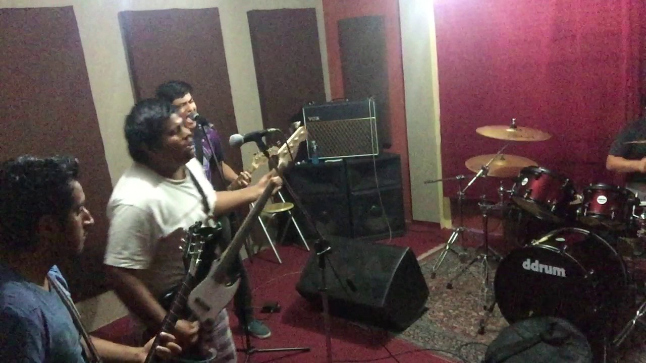 Green Day - Welcome To Paradise cover band Turtle Punk