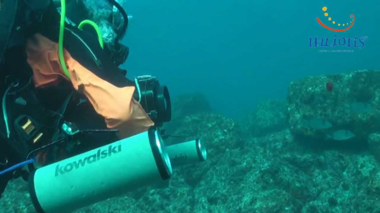 HALIOTIS 01-11-2012
