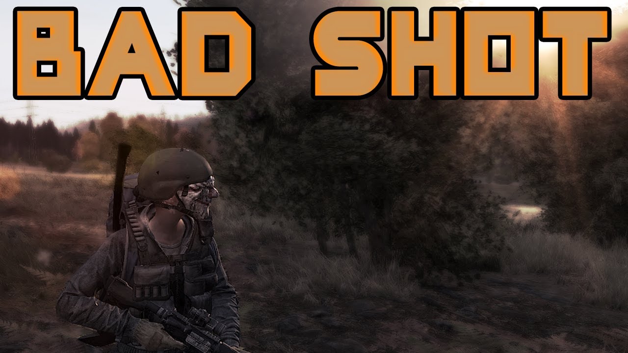 BAD SHOT (DayZ Standalone)