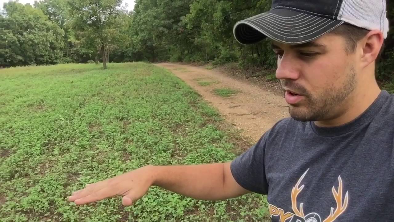 Broadcast Seeding VS No-Till Drill Food Plot Comparison S7