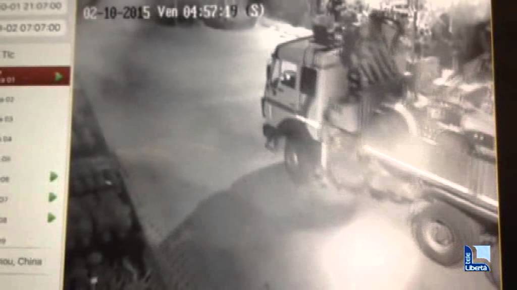 Maxi furto in un vivaio di Settima: ladri in azione per 8 ore. I video