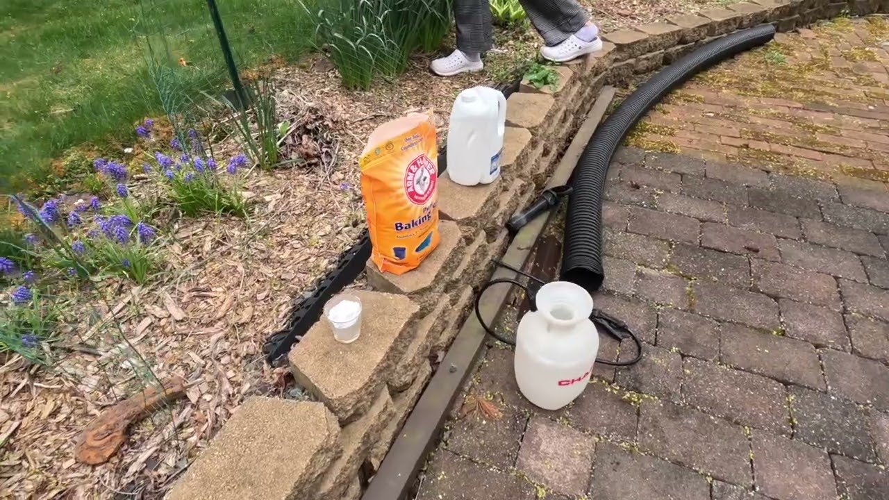 Kill Moss using baking Soda