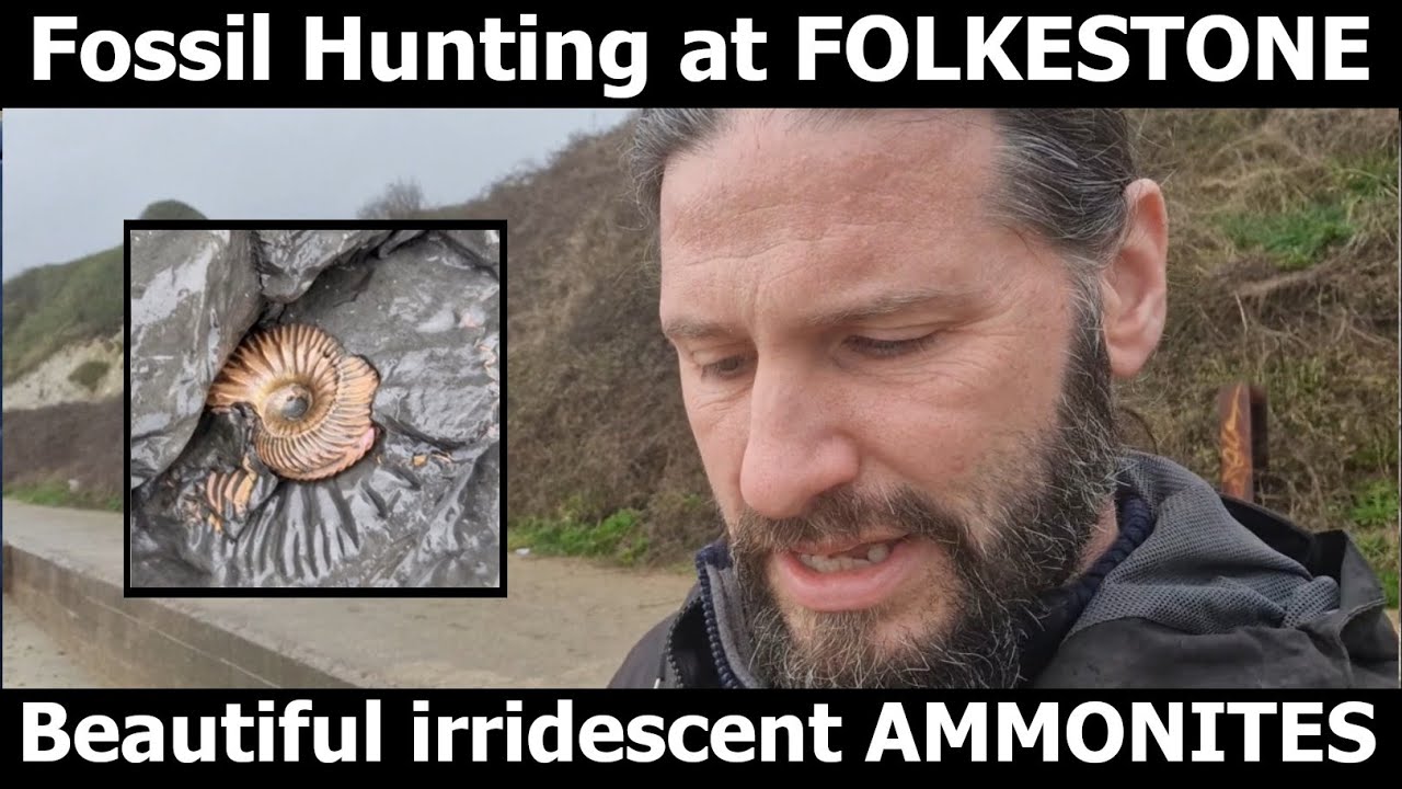 #fossilhunting for perfect beautiful #ammonites at Folkestone 103 myo cretacous irridescent #fossils