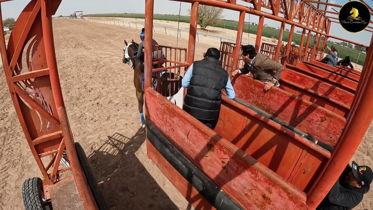 Favorito Cuadra Jrs vs Emi Cuadra La Partida (Debut) #carrerasdecaballos 