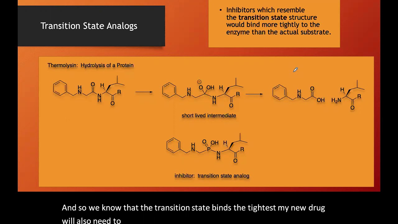 Transition State Analogs as Enzyme Inhibitors