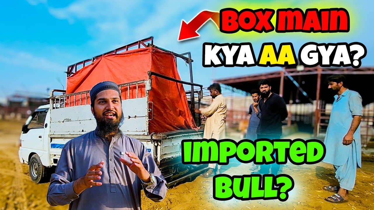 Ye Normal Entry Nahi Thi… Ye Ek Surprise Tha!