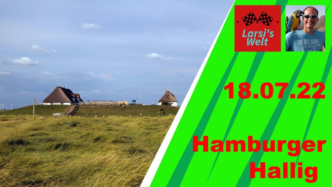 18.07.2022 Hamburger Hallig und Schafsaufmarsch am Deich