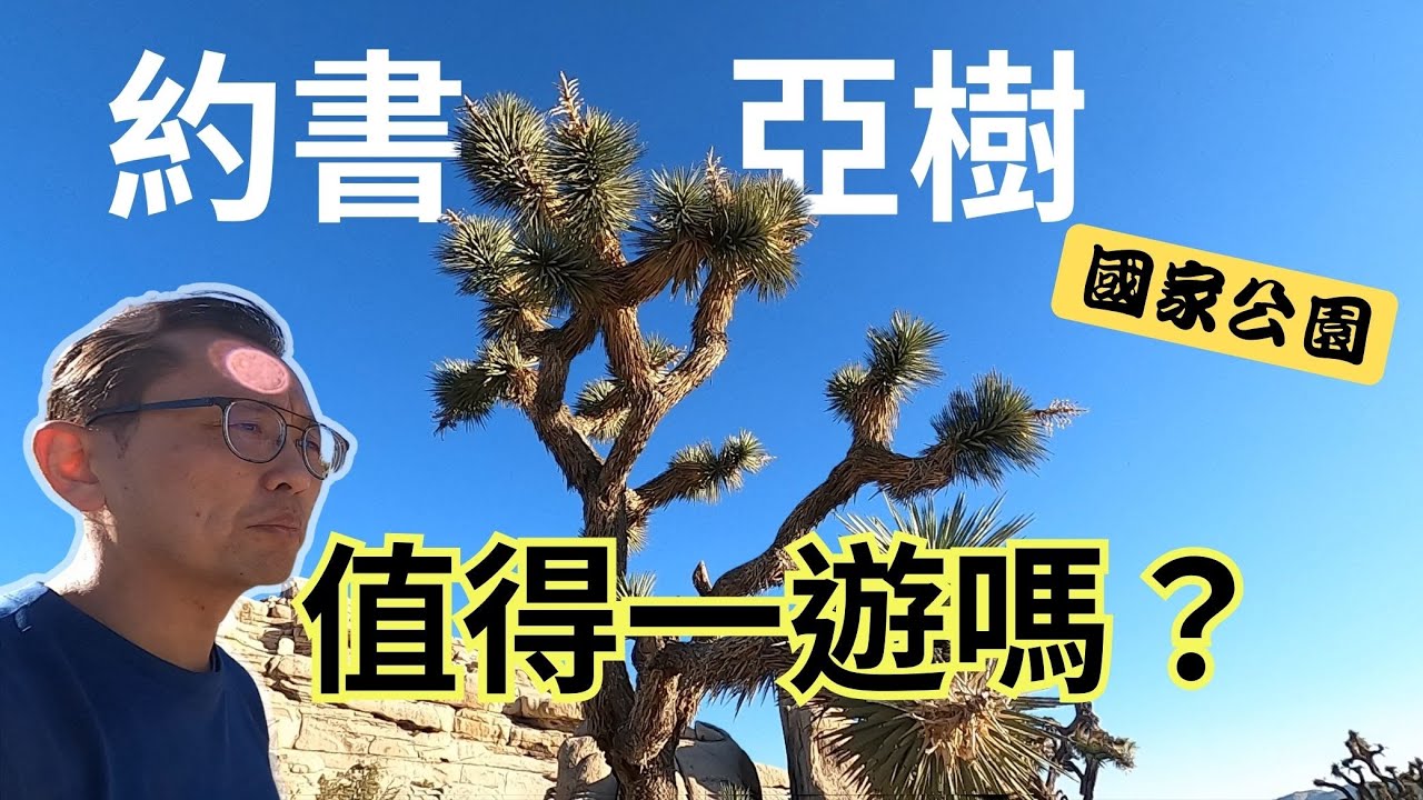 約書亞樹國家公園 Joshua Tree National Park | Say涼老爸
