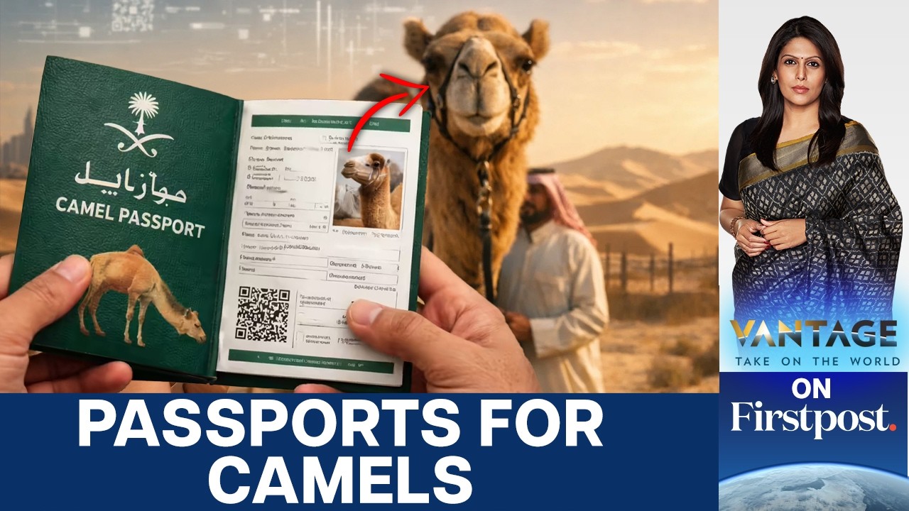 When Camels Need Paperwork: Saudi Arabia’s Bold New System | Vantage with Palki Sharma | N18G