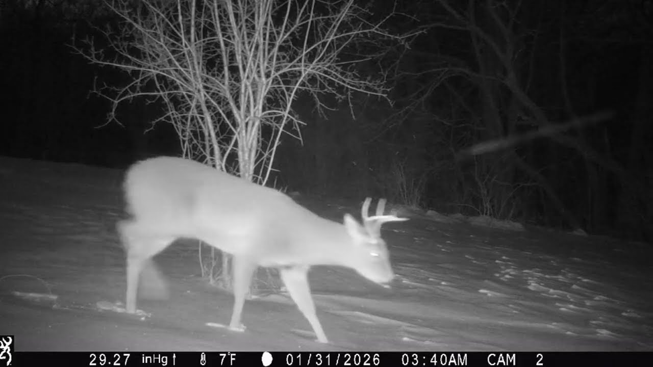 South Central WI Browning trail cam pick up 12/22/2025-2/9/2026