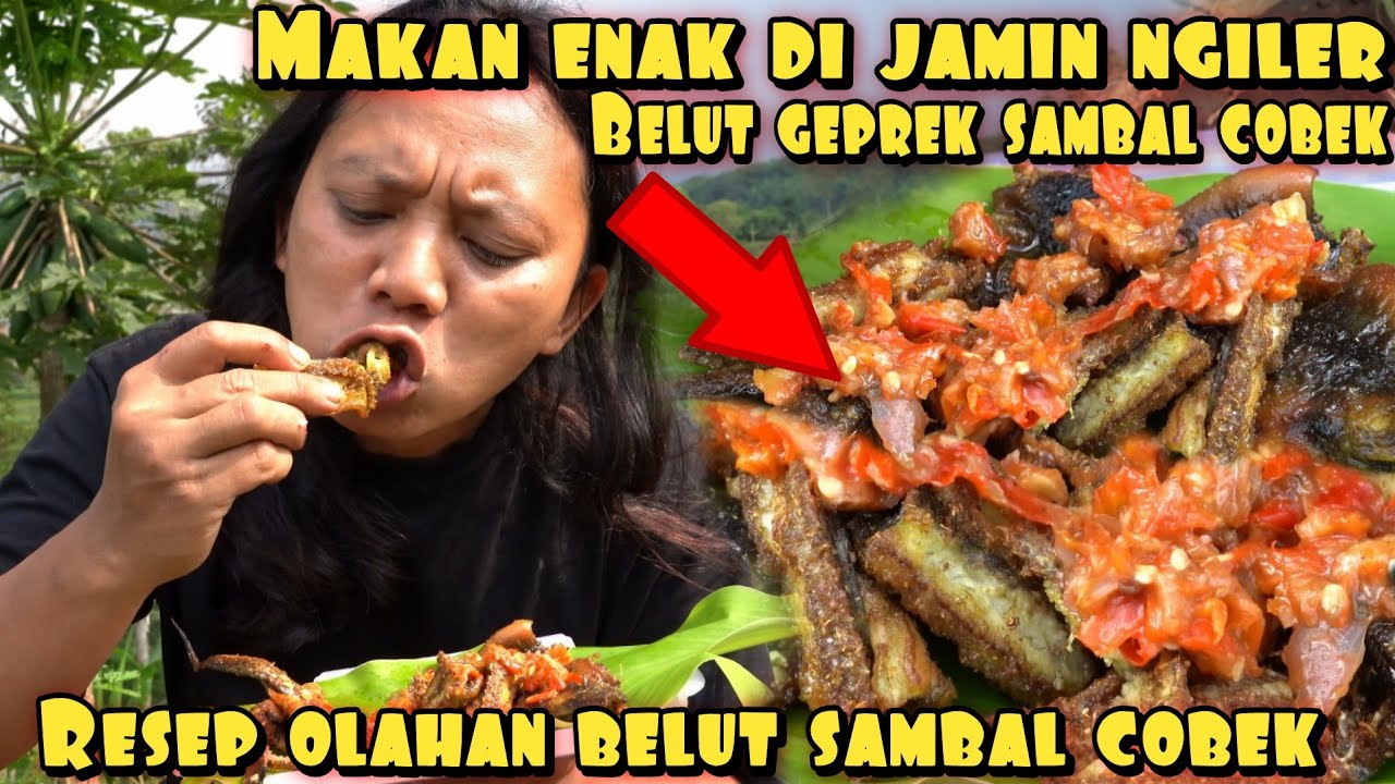 BELUT GEPREK SAMBAL COBEK BIKIN SELERA NAPSU MAKAN BERTAMBAH