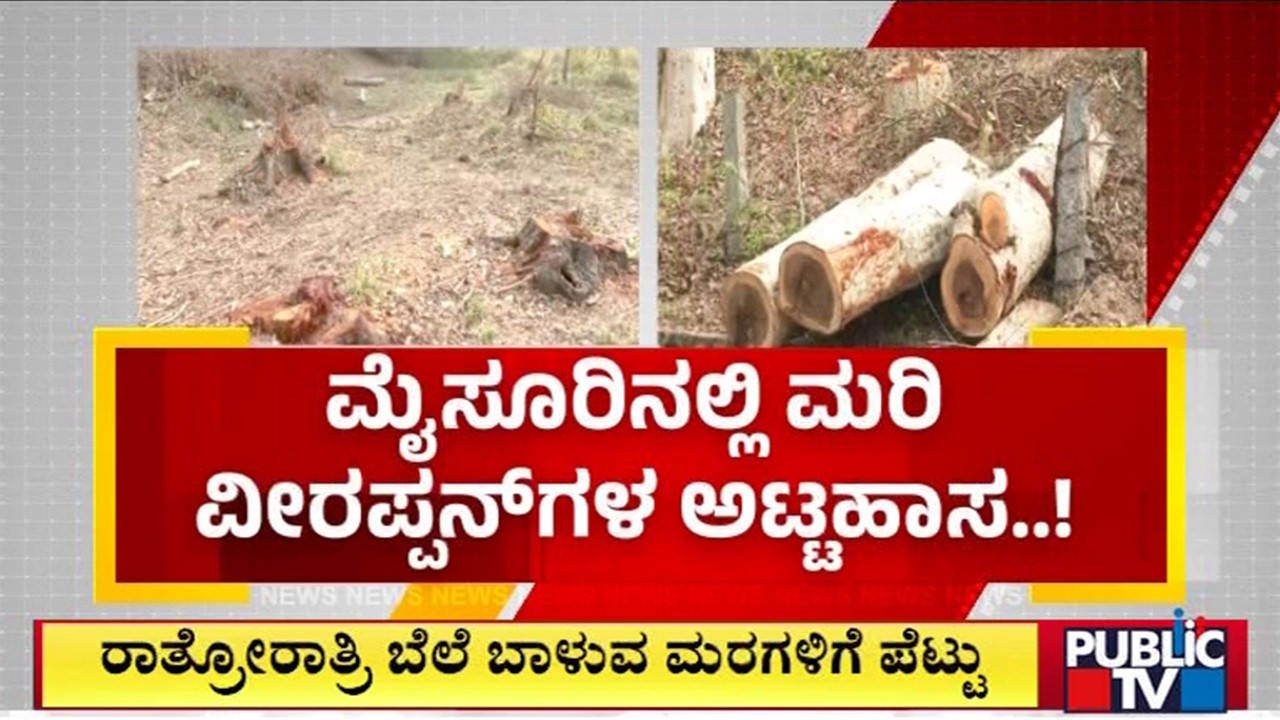 Over 80 Valuable Trees Cut Down By Miscreants In Nanjangud | Public TV