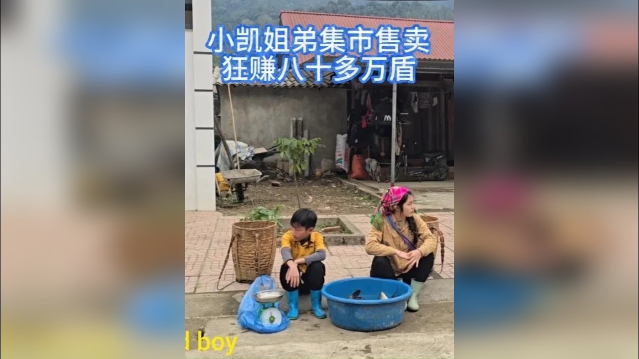 年味拉满！小凯姐弟围网捕满鲜鱼，赶节集市轻松赚八十多万盾