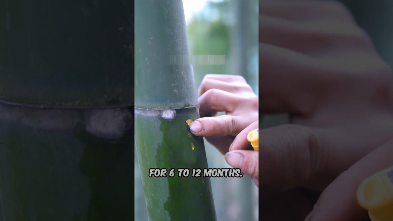 Bamboo Wine Technique EXPLAINED
