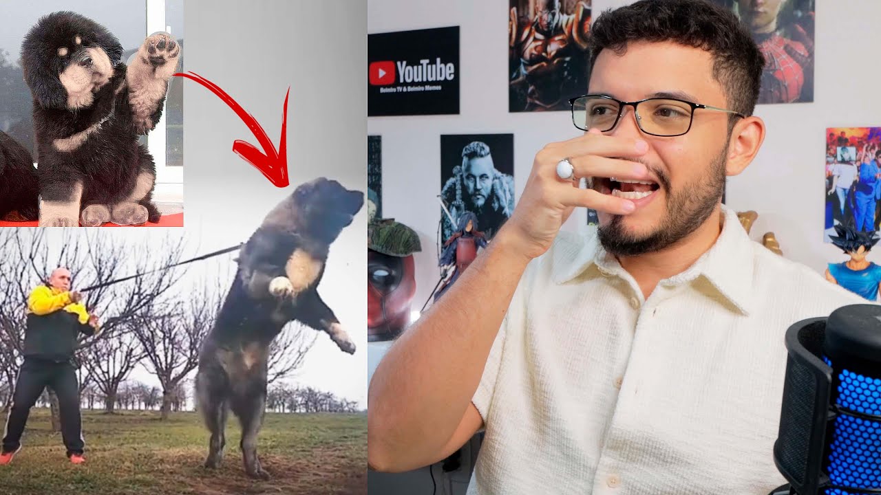 Animais fofos que ficam assustadores depois que crescem