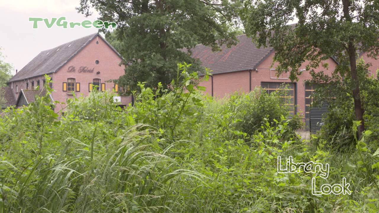 Raised bog area - Griendtsveen en Helenaveen (4K Cine dupe)