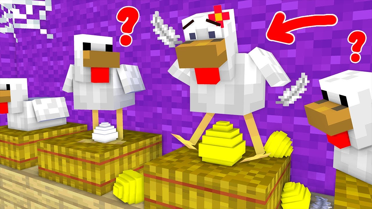 Poor Chicken, Lay Golden Eggs - Sad Story - Minecraft Animation