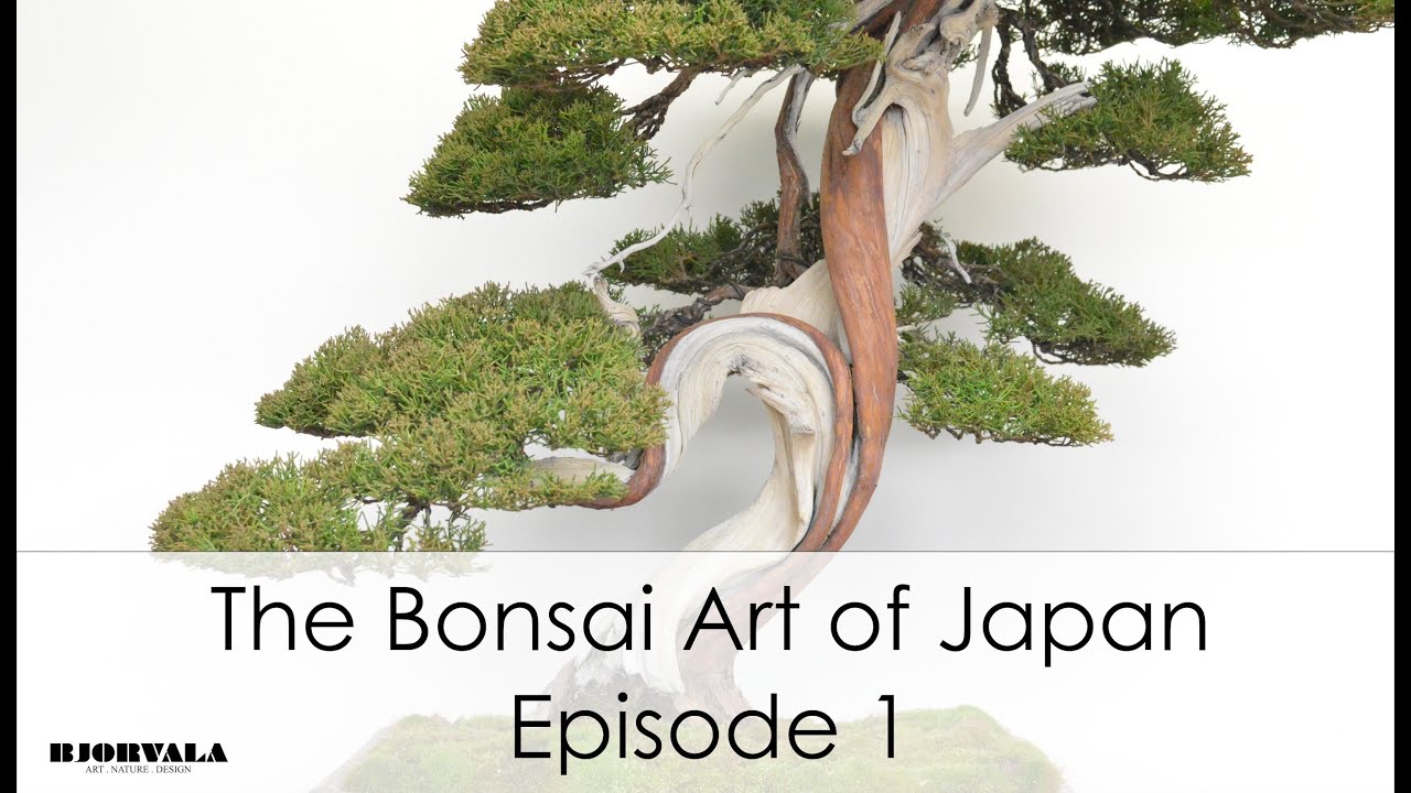 The Bonsai Art of Japan - Episode 1.mov