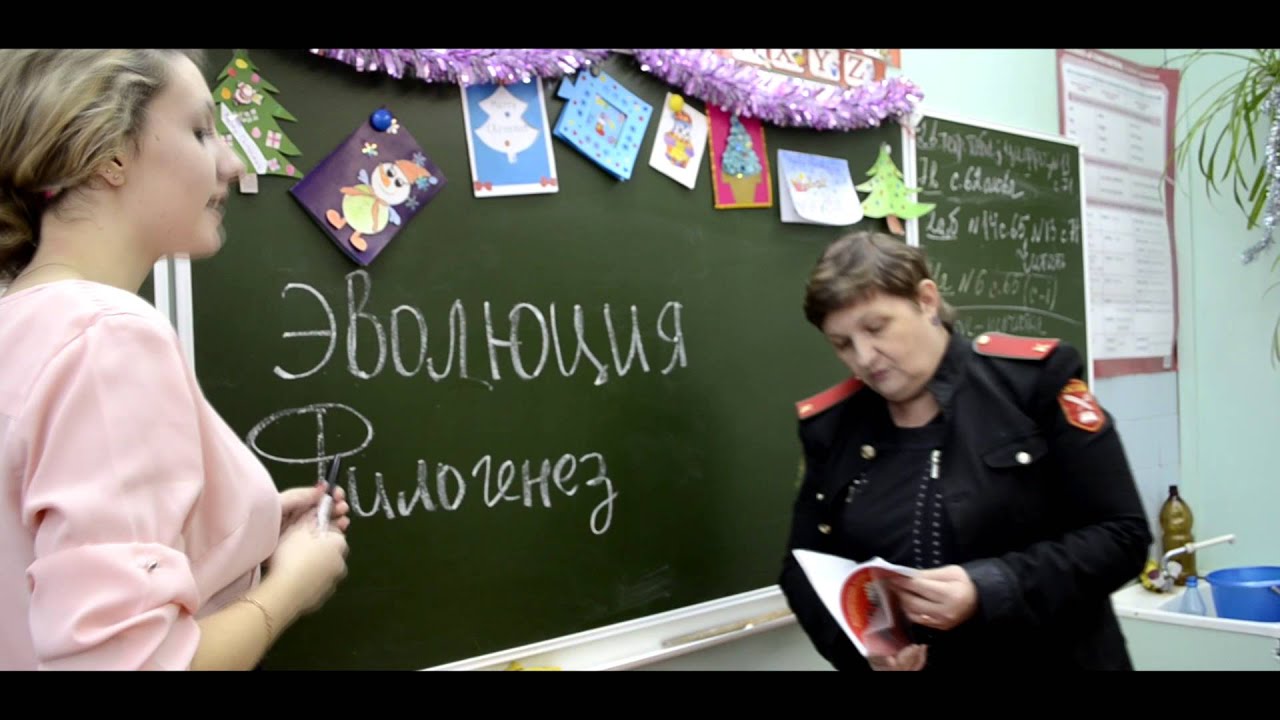 КВН 