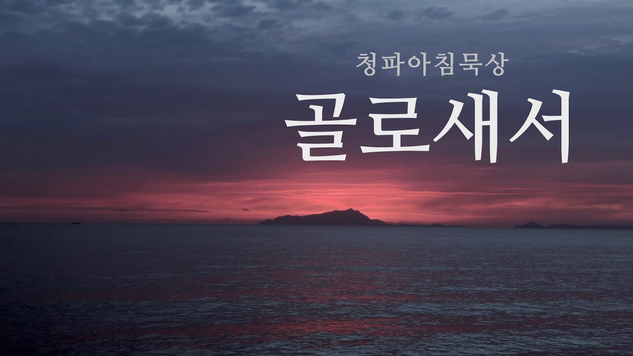 260316(월) 골로새서 3장
