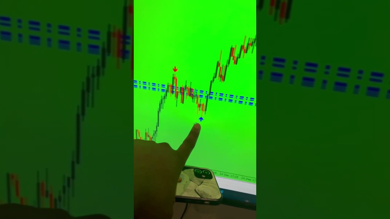 you know you can get TRADING BOTS for free right&hellip;