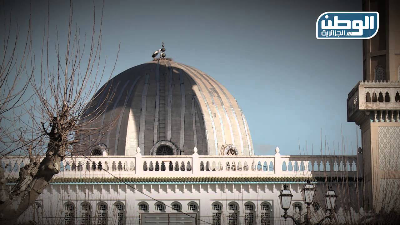 أنا في حومتي -المدية-