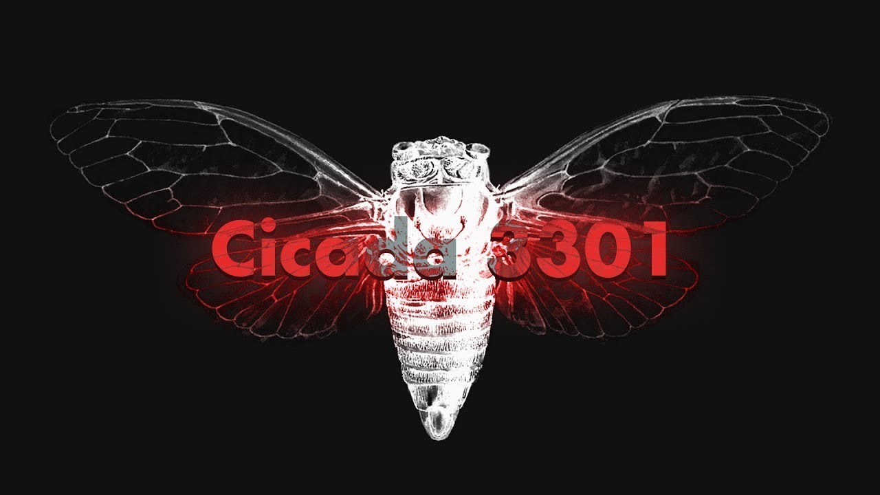The biggest internet mystery - Cicada 3301! Please like and subscribe !!!#Explore