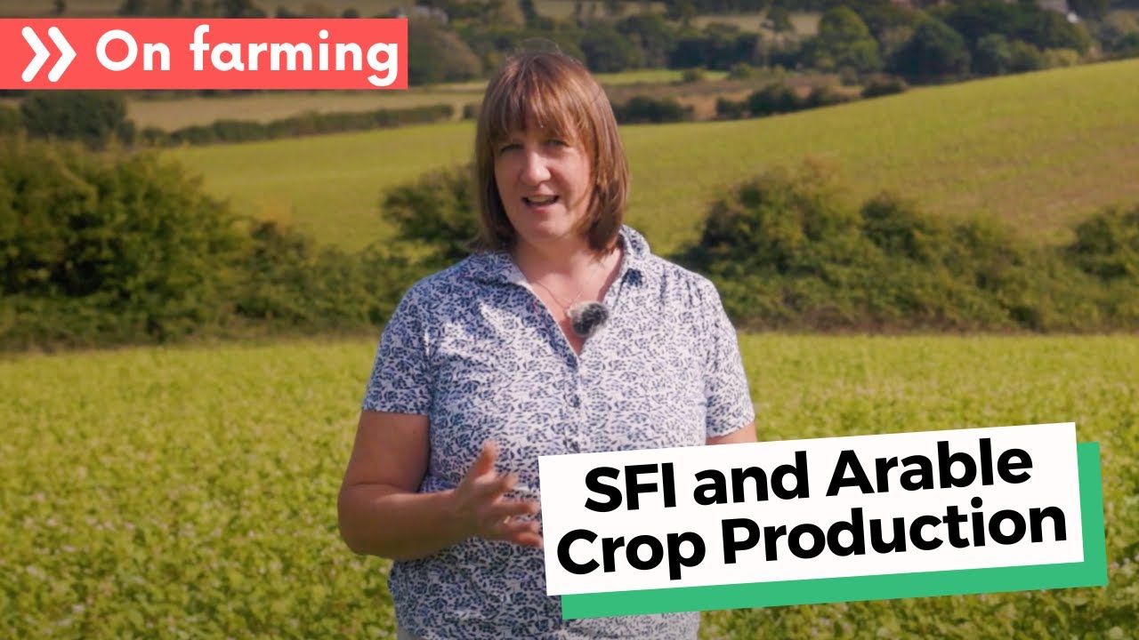 How SFI works hand in hand with arable crop production