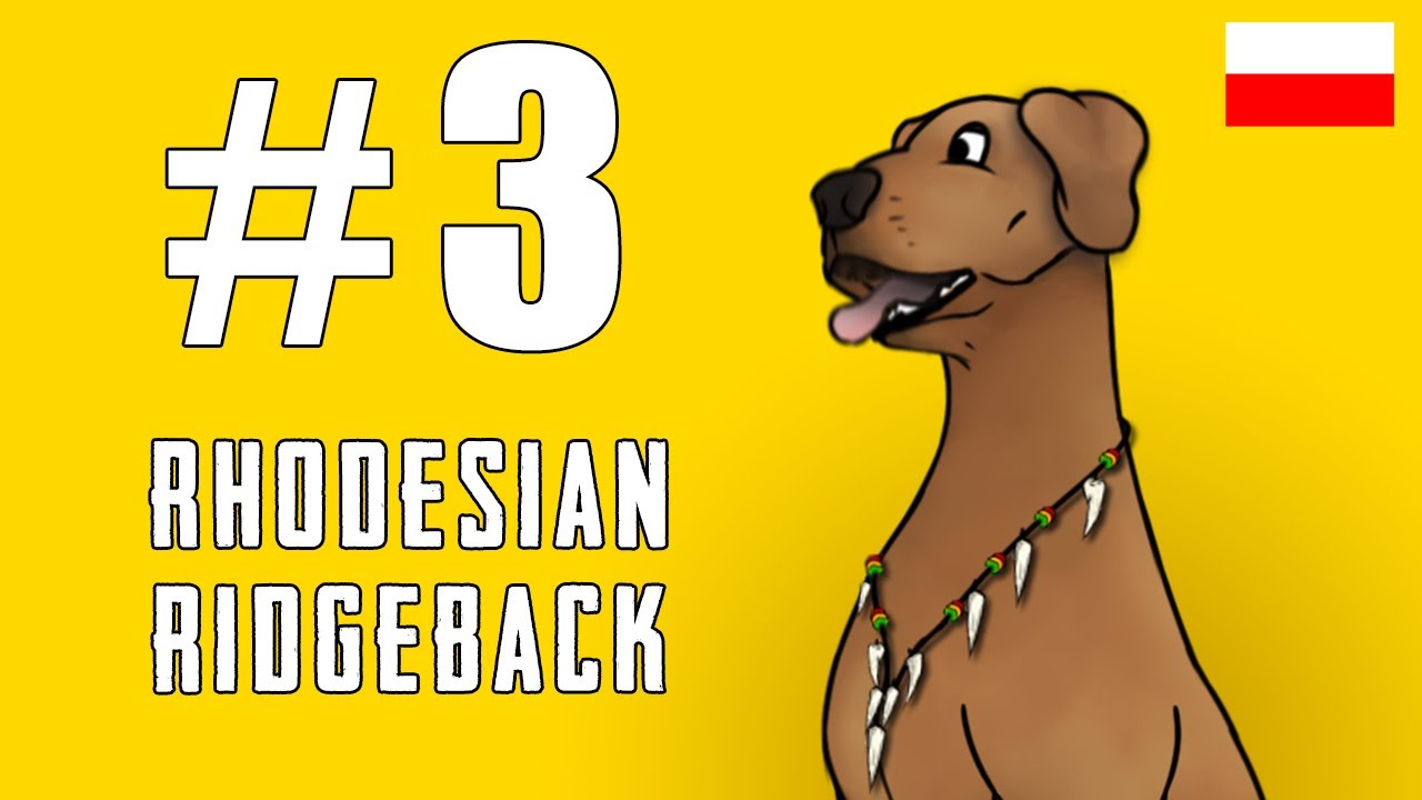 Rhodesian Ridgeback - pogromca lw&oacute;w